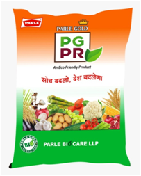 Parle Gold PGPR
